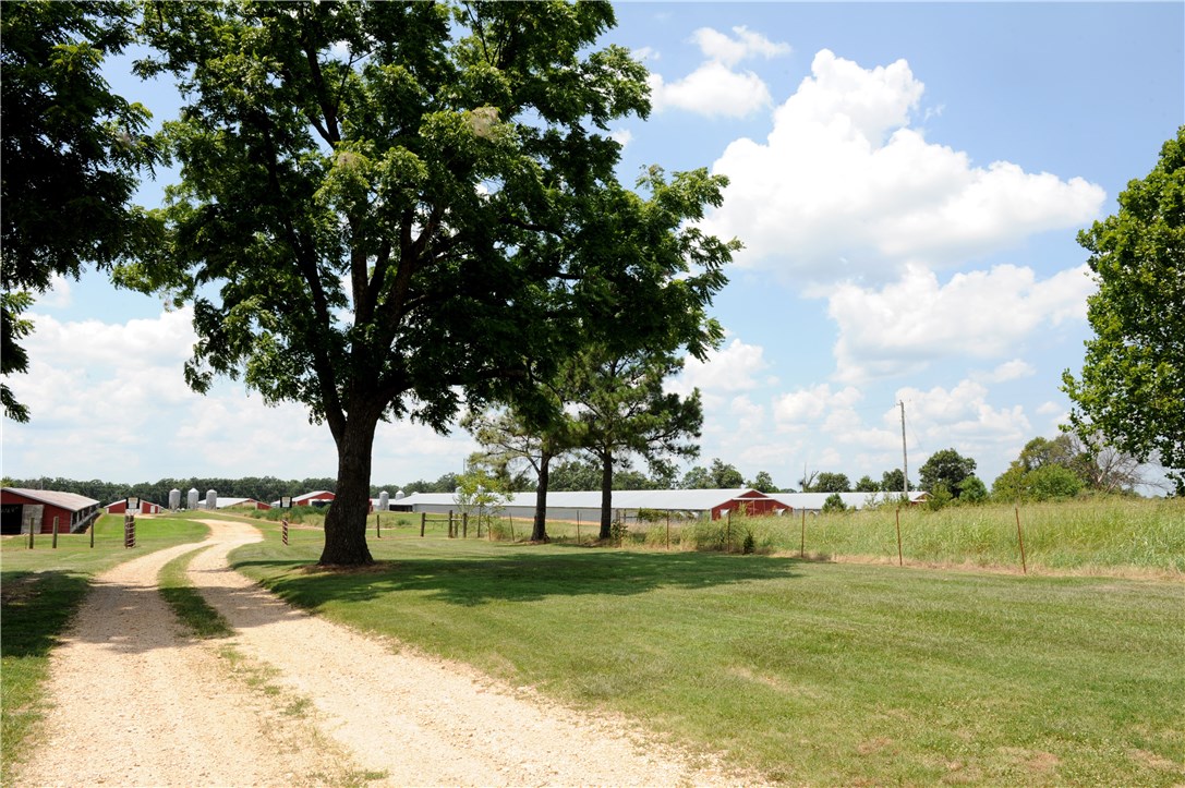 Fajita Country - Farm