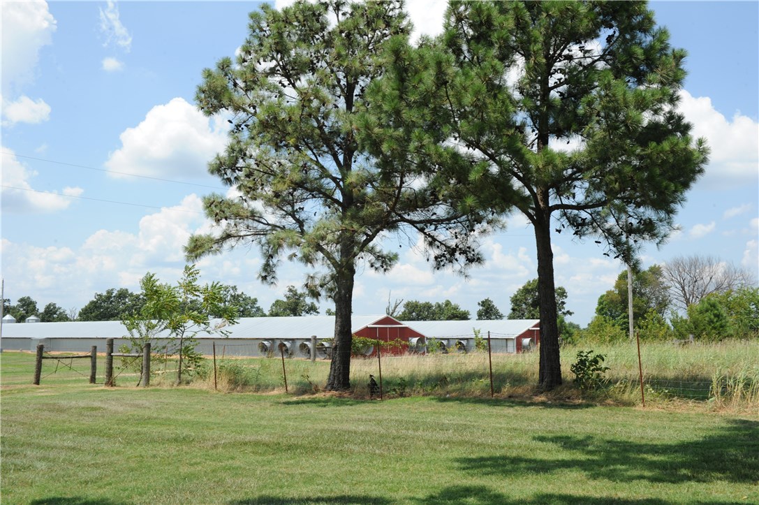 Fajita Country - Farm