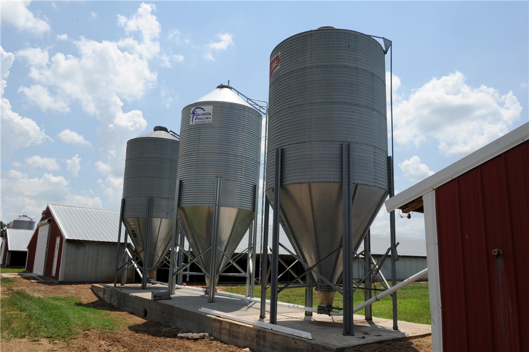 Fajita Country - Farm