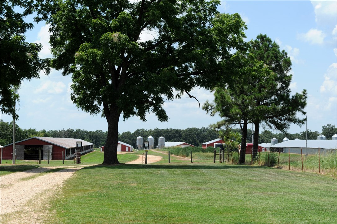 Fajita Country - Farm