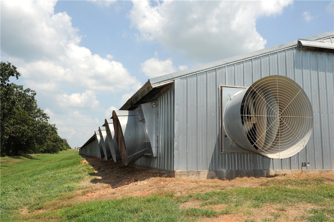 Fajita Country - Farm