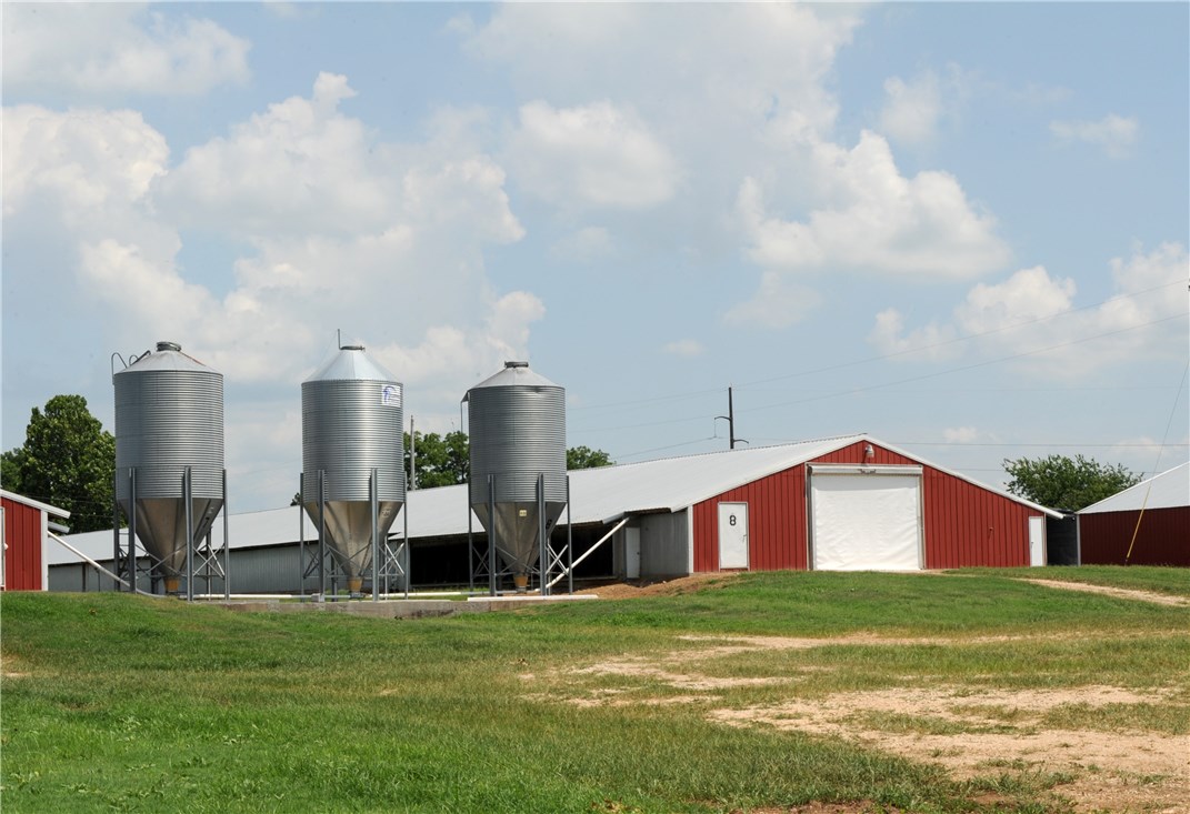 Fajita Country - Farm