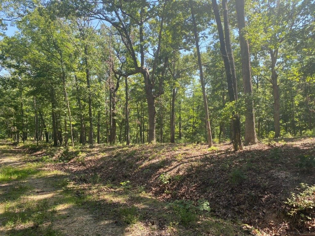 Beautiful wooded property with a total of 3.3 acres or 5 lots to build on, includes lot 529. Lake area. Wooded, secluded and scenic! Land comes with Lost Bridge Village amenities including recreational center, tennis, pool and more!