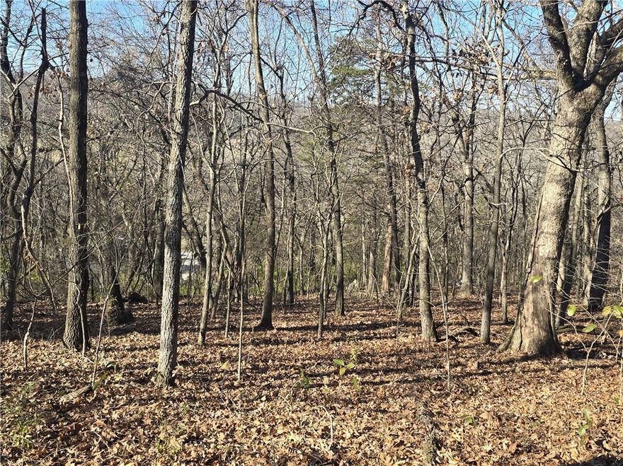 *LIVE AUCTION* Auction will be held live at the property on Thursday, January 15th, 2026 at 11:00AM. This mountain top property sits just 5 minutes outside of Prairie Grove. 4.73 Ac +/- is full of natural stone, hardwoods, cedar & wildlife. On the property is a 1,008 sqft home in the middle of a remodel. House can be finished or torn down to build something new. Electric, city water & septic on site. It is recommended the property be viewed &/or inspected prior to the auction. Reserve auction. Seller has every intention of selling the day of the auction. Announcements made on the day of sale supersede any prior written or verbal advertisements. Sold As-Is. See Website for Complete Terms & Conditions.