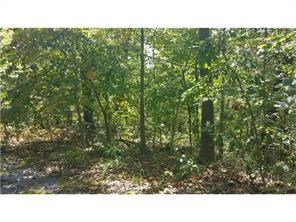 Two secluded lots, 17 and 18, $4,000 apiece. Wonderful place to build a home, secluded, on a cul-de-sac, and level enough at the front. Lane is overgrown, but will be cleaned up when a home is being built. You can own most of the cul-de-saq and be very private, yet be close to Branchwood Community Center, and all of the Bella Vista amenities.