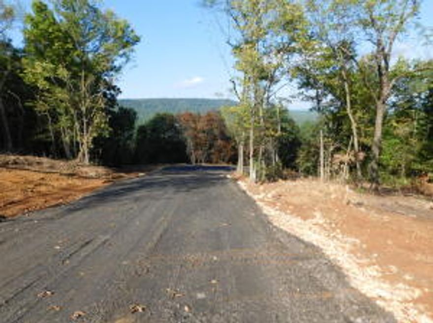 Lot 99 is a 1.1 acre parcel in the Round Mountain Estates, situated on more than 4,000 acres in one of the highest point of Boone County Arkansas. Awesome views overlooking the valley. Nightly rentals are allowed in this community! At Round Mountain Estates at Iron Bluffs, all lots are designed to embrace the Ozarks' natural terrain and vistas. Whether you're seeking a second home, an investment opportunity, or a full-time residence, Round Mountain Estates will accommodate custom homes from 2,500 square feet up. All Iron Bluffs property purchases include a multi-generational membership and a memory making membership for future generations.