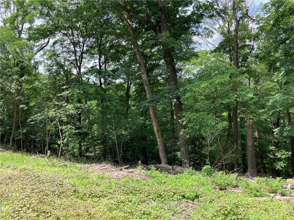 Unit 6 Holiday Island - Land