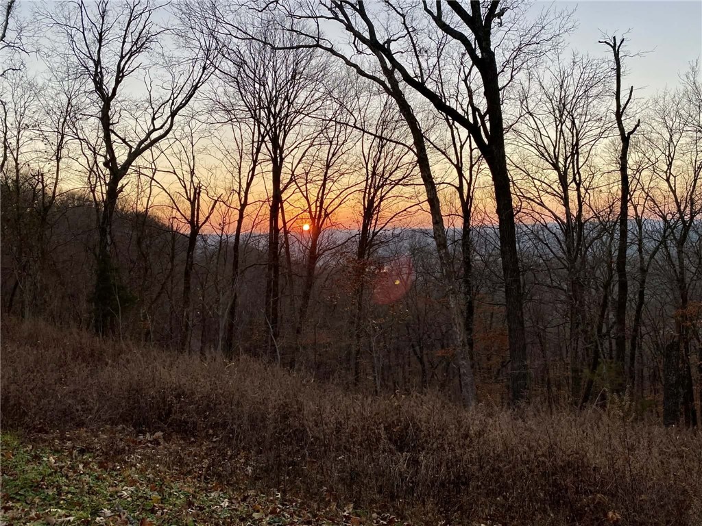 Unit 6 Holiday Island - Land