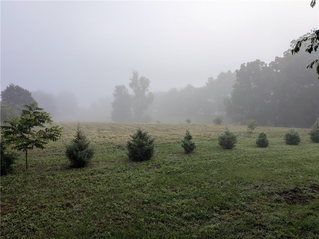 Rural Property - Residential