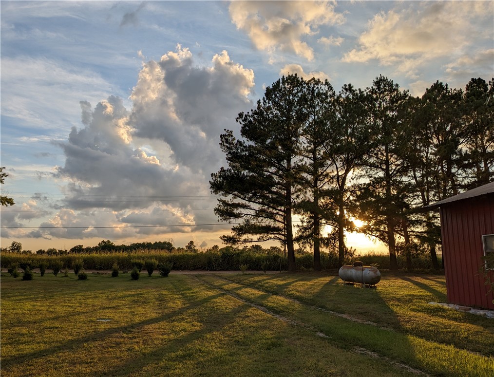 Rural Property - Residential