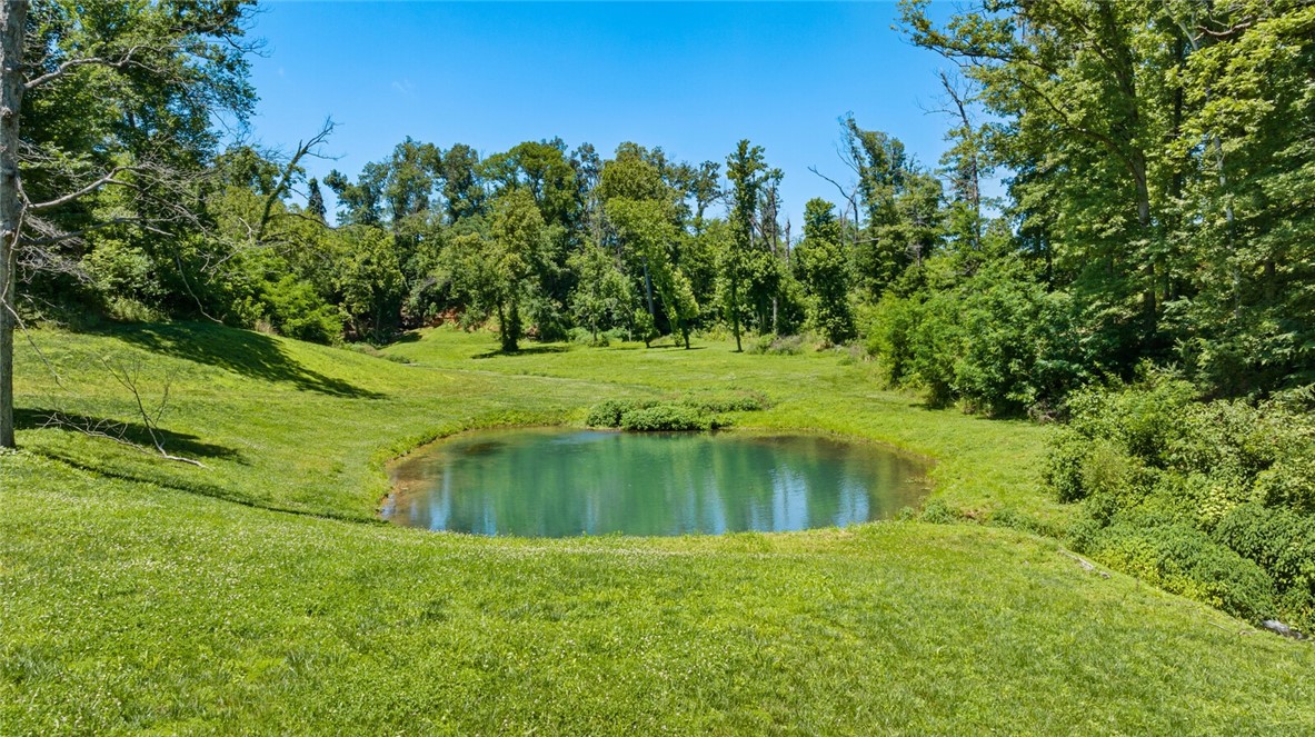 Healing Springs - Residential