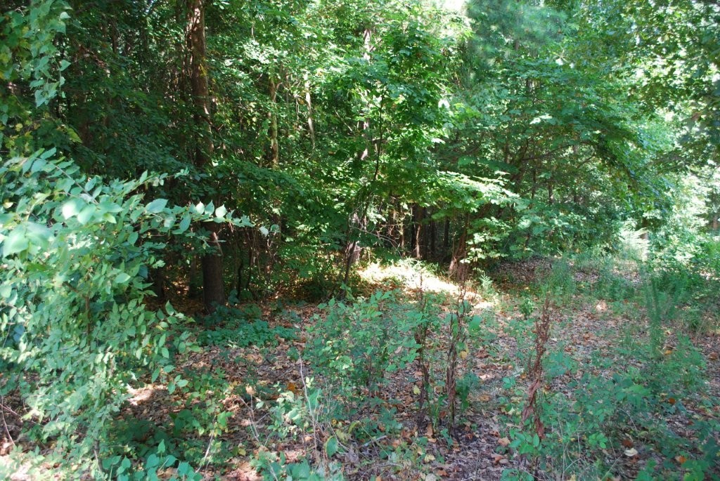 Last lot on Neffwood, minutes from Windsor or Avalon lakes or Hwy 71B. Lots this close to the lake are hard to find. Many stunning executive homes on Neffwood.