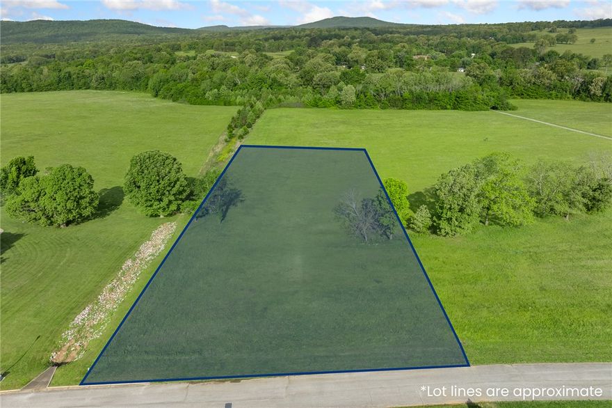 Build the home you’ve always imagined on this large 2.35 acre lot located in one of Harrison's most desired neighborhoods. With plenty of room to create your dream home, pool, outdoor living space, and still enjoy privacy, this property is supreme in characteristics it offers.  Important note:  This lot is no longer considered to be in a flood plain according to the FEMA Estimated Base Flood Elevation Study (see pics for map and legend). Utilities (gas, electric and water) are underground and at the street, making the building process easier and ready for you to start now.  *Septic system will be needed.  Only a few minutes to all Harrison has to offer and within easy reach of Table Rock Lake, Branson, MO, Lake Taneycomo, Bull Shoals Lake, White River, Buffalo National River, Kings River and Eureka Springs - along with endless opportunities for fishing, hiking, camping, and exploring.