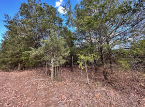 Discover your own slice of tranquility with this 1-acre lot, perfectly situated just outside the city limits. With no restrictions and mobiles allowed, this property gives you the freedom to make it your own. Whether you're planning to build, bring in a mobile home, or simply enjoy the wide-open space, this location offers the peace and quiet you've been craving. Experience the best of both worlds--rural living with easy access to town when you need it. Opportunities like this don't come around often, so don't miss your chance!