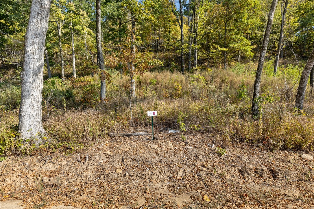 Welcome to Lot 9 (0.50 m/l ac) of Round Mountain Estates. This lot will have seasonal views and could be perfect for that walkout basement you have been wanting. Not one lot is the same in this development so you need to come check out all of them and find the one that works for you. RME is a new, master planned, exclusive subdivision located 10 minutes west of Harrison, AR. The following utilities are already on site making the building process much easier for you; natural gas, fiber optic internet, electric, public water, and sewer. Interested in your family seeing the star lights instead of those city lights? RME is what you've been searching for! RME features a 350 +/- acre common area for its residents that includes a stocked fishing pond, Kissing Rock trail, natural springs to explore, Baby Canyon trail, incredible bluff lines to climb, and views for hundreds of miles that will not only take your breath away but will forever be etched in your memory! Neighborhood amenities coming soon.