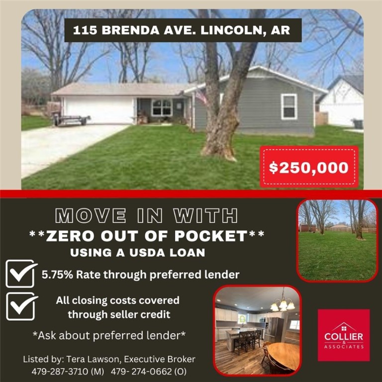View Lincoln, AR 72744 house