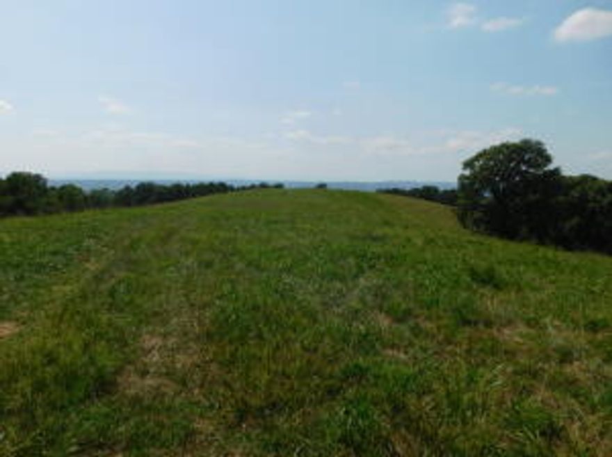 Unbelievable views overlooking the Buffalo National River valley with this  +/- 361.84 acres of land, located just south of Western Grove Arkansas in beautiful Newton County. Feature include a 18x24 ft off the grid cabin, 2 springs, 2 ponds and it borders Arkansas Game and Fish land. Property has approximately 65 acres of pasture with remaining land in mixed hardwoods. Close to Hurricane River Cave and just short distance from the Buffalo National River. Abundance of wildlife for hunting to include deer and turkey. Perfect for hunting, ATV riding, horse back riding; and farming with livestock, cattle or horses.