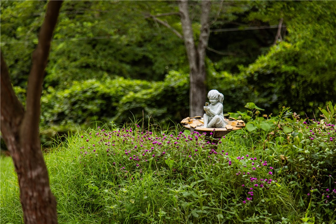 Brigadoon Sub-BVV - Residential