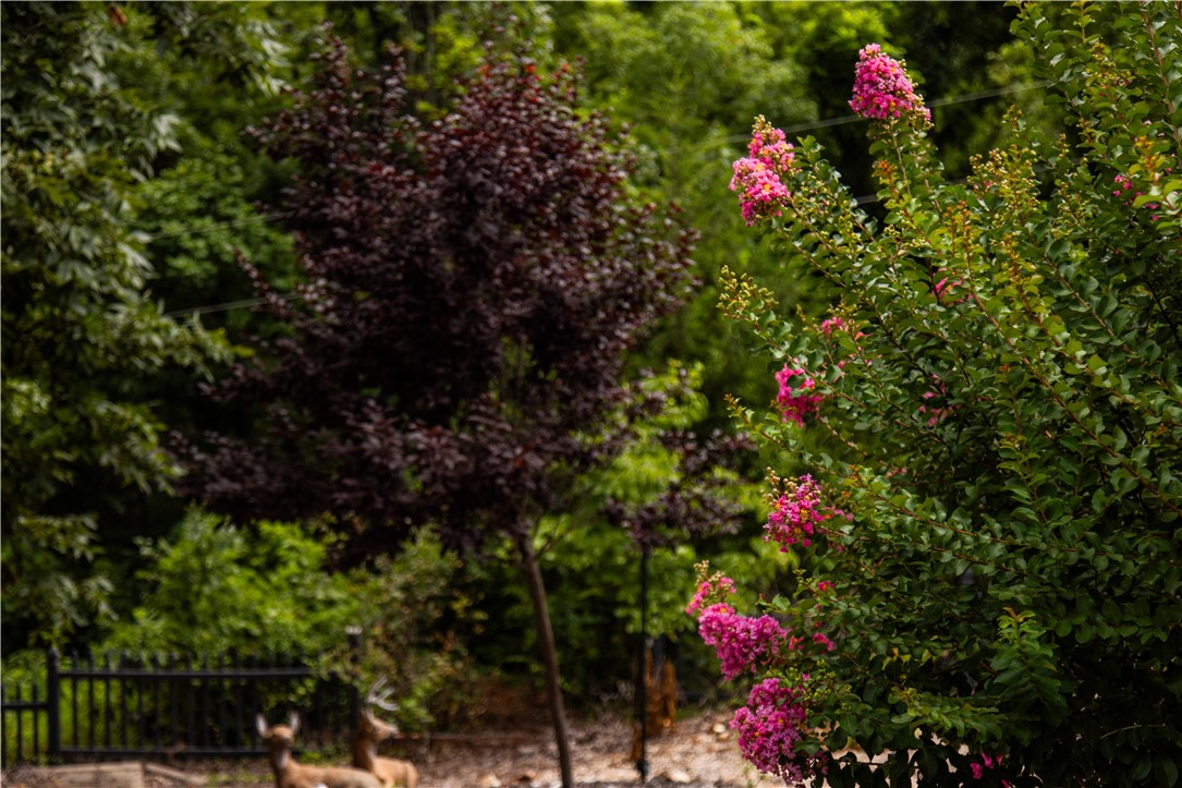 Brigadoon Sub-BVV - Residential