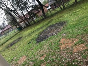 Raylee Jr, Phase 1-3 - Residential
