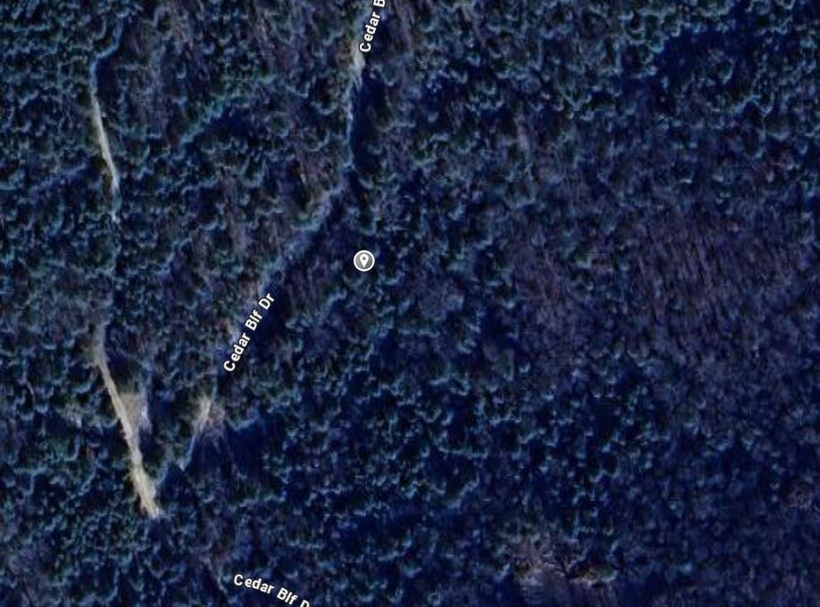 14.41 Acres with large trees and no restrictions.