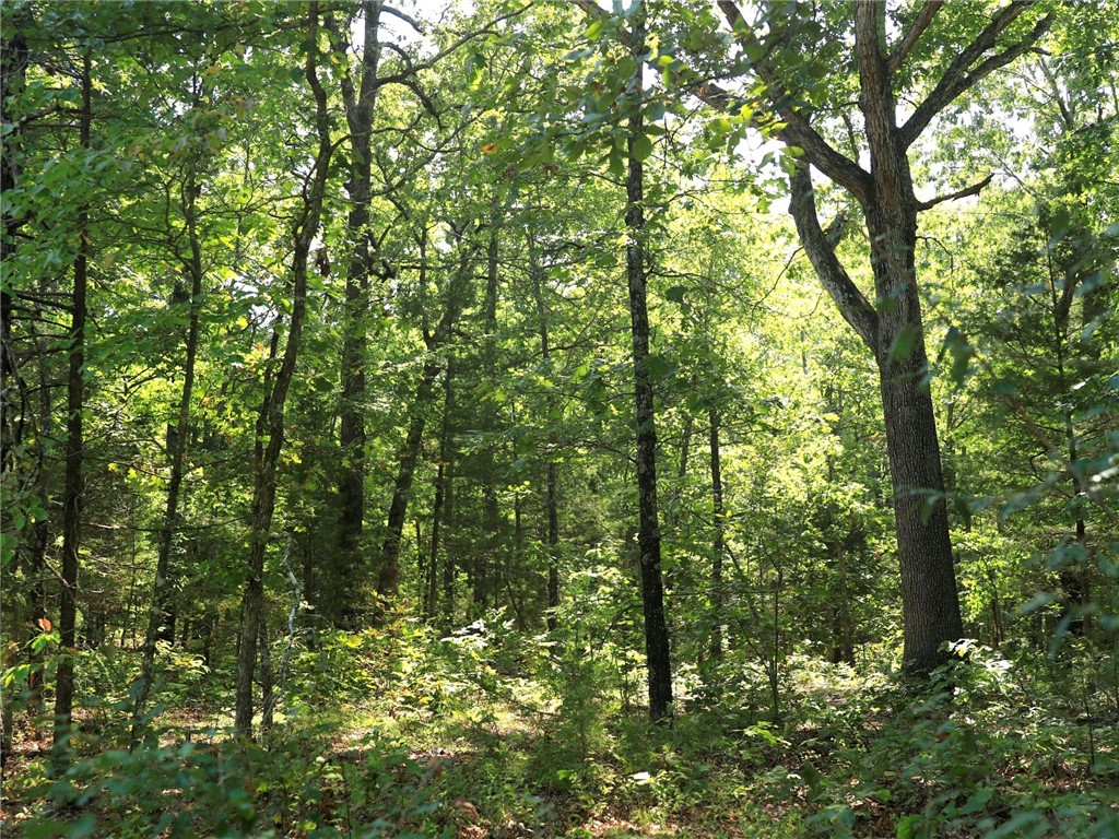 Build your new home on this .35 (+/-) acre lot that is walking distant to access the beach on Pioneer Lake. It is minutes from Crown and Diamond Lakes and also close to local amenities. No owner financing available. Mobile homes are not allowed. Call or text for more information.