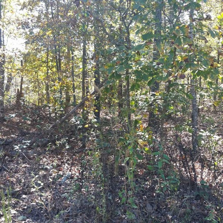 Your chance to enjoy Beautiful Bella Vista. With golf courses, lakes, county clubs, walking and bike trails, tennis & pickleball courts, parks, swimming pools & plenty of wildlife. It's a great place to live & play. Make this your next place to call home. Lot 9 is also available.