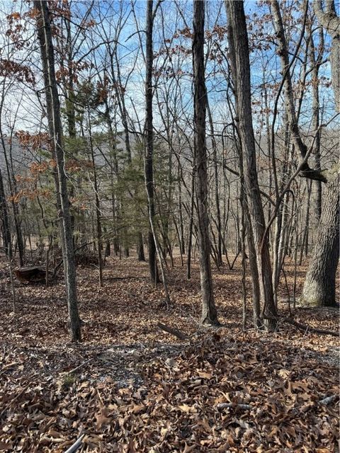 Photo of Lot 76 Shady Glen Road, Rogers, AR 72732 (MLS # 1333907)