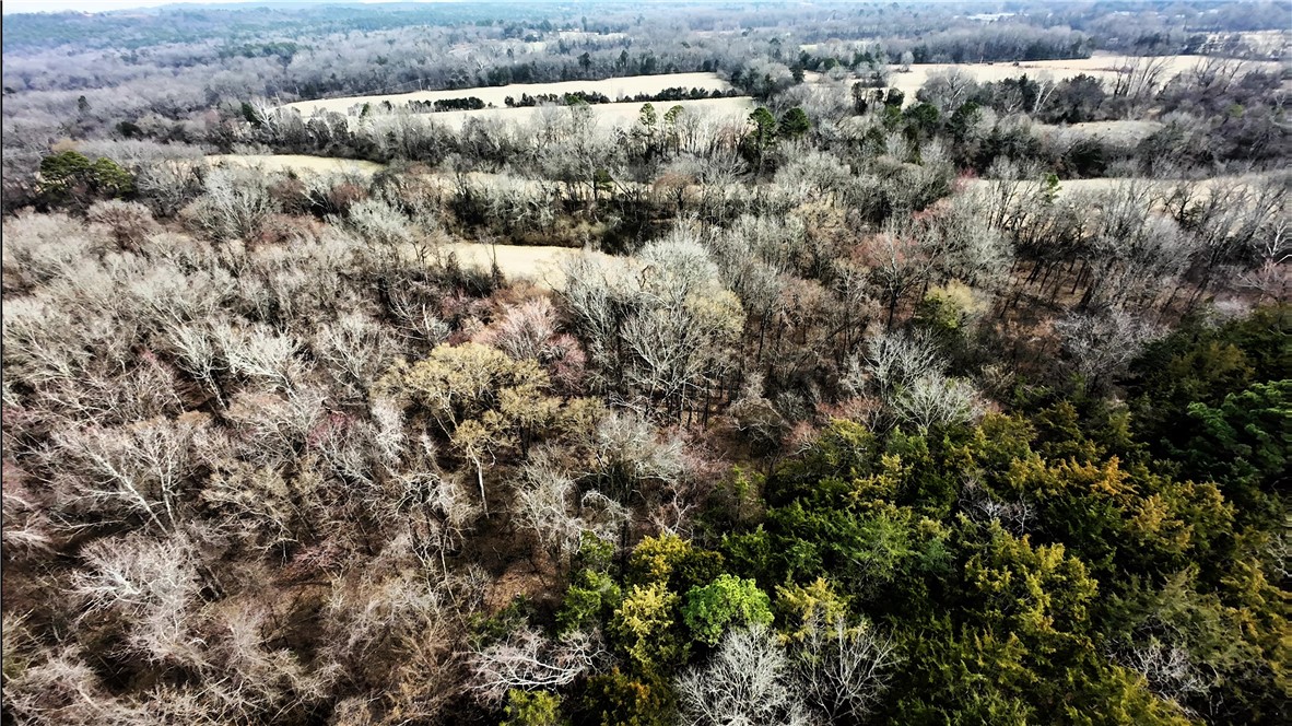 Clarksville 291023 - Residential