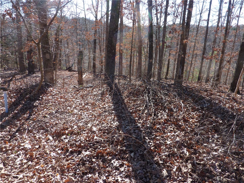 Great value for a membership lot. All of Bella Vista's amenities available with ownership of this lot.