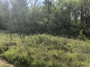 Loacted in Zinc.This property could make someone a good homesite or hunting/recreational land. A spring and wet weather creek run through the property. Nice mixture of cedar and hardwoods. Multiple building sites to choose from.Electric on site.Well on site- has not been used in 10+years12 lots in Zinc city limits and 20 acres m/l outside city limits.