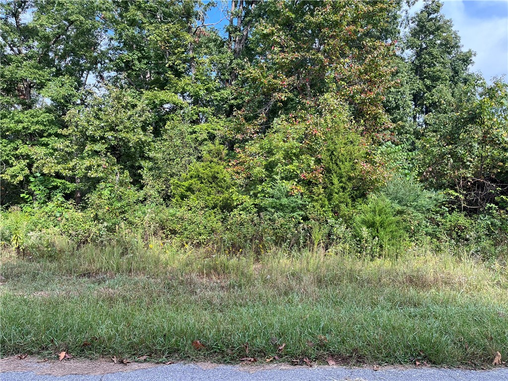 This gently sloping, buildable lot is just 5 minutes from the Scotsdale Golf Course. Tucked in a peaceful, wooded setting, this lot offers easy access to Highway 71. You're minutes away from all the amenities Bella Vista and nearby Bentonville have to offer — including shopping, dining, renowned bike trails, and more.