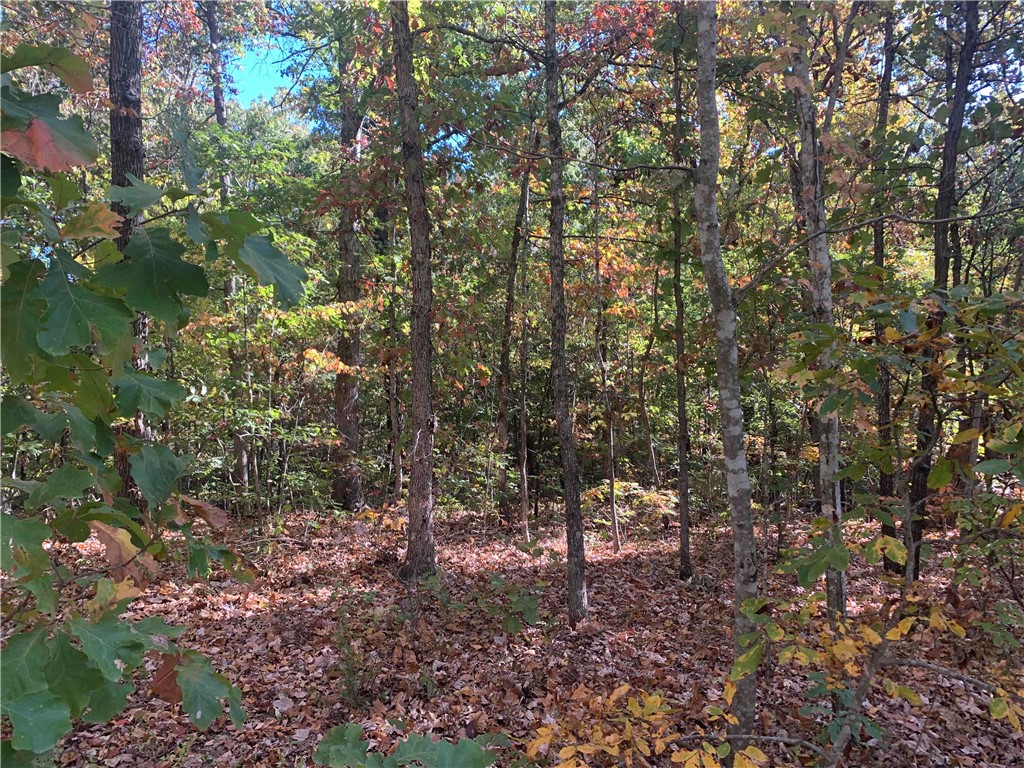 Small corner lot near the bike trails. Front half is mostly flat and rolls off to the back. Buildable topography but size and set backs likley make this a membership lot. Priced accordingly. Buyer to do their own due diligence if the intention is to build on the lot.