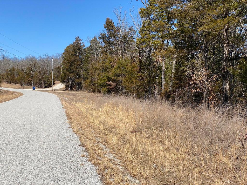 Looking for a great location to build that dream home? This parcel may be the one. Located on a well-maintained road, in an area with nice homes, and not far from Norfork Lake Access, makes this 9 ac/ml parcel worth checking out. (Bonus) NEXT Fiber Optic Internet is now available in the area.