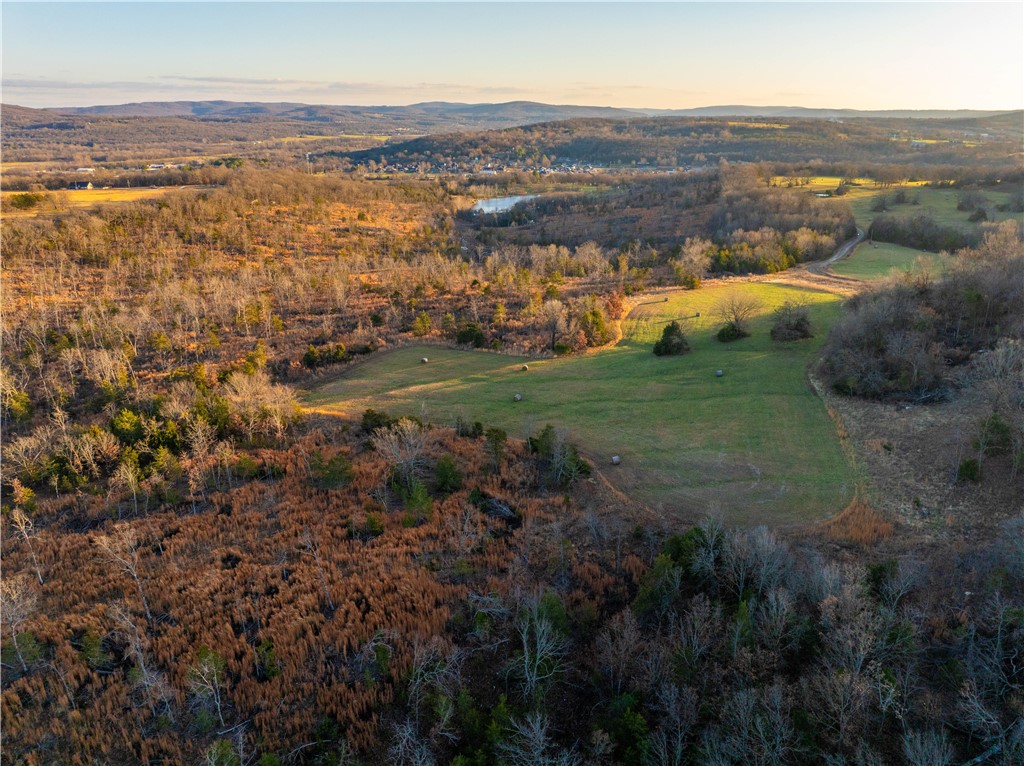 Outstanding opportunity to own a beautiful property within minutes of I-49 at the Greenland exit. Close proximity to utilities. 79.70 acres recently surveyed. Access easement and new survey must be completed prior to closing. Call for more information.