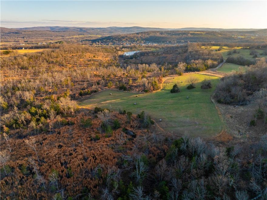 Outstanding opportunity to own a beautiful property within minutes of I-49 at the Greenland exit. Close proximity to utilities. 79.70 acres recently surveyed. Access easement and new survey must be completed prior to closing. Call for more information.