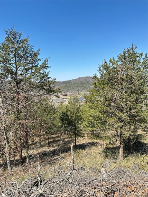 Exceptional unobstructed view from this road to road lot! Lot is northwest facing overlooking 9 hole golf course. Short golf car drive to golf, tennis, pickleball, pools and more! Holiday Island Marina and fishing pier are close by too. Located on a dead end street close to the cul de sac for added drive by privacy. Beautiful homes in area.