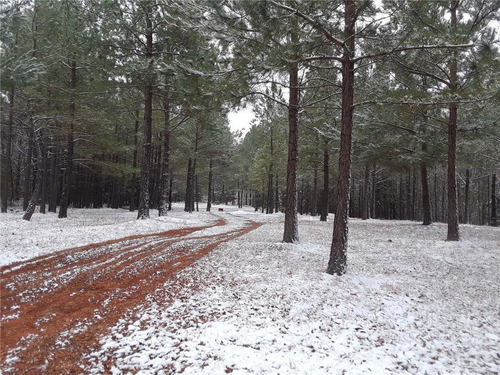 Dornoch Sub Bvv - Land