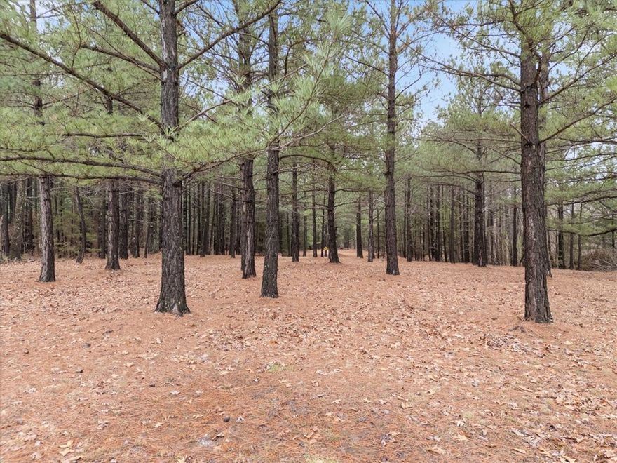 This is a rare awe-inspiring, completely level, Bella Vista lot.  It's so incredibly beautiful, you'll want to drive by just to admire the two lots totaling 1.42 acres of tall pines and mature trees.  Owners have lovingly maintained the property to look like something out of a fairytale.  If you have been planning your dream home, this lot is deserving of your custom plans!  Kintyre Drive is a lovely street, convenient to Loch Lomond Lake, Golf at the Highlands Golf Course, and pickleball and indoor swimming at the Branchwood Rec Center.  This is truly a one of a kind, once in a lifetime opportunity to build your new home and enjoy all that Bella Vista has to offer!