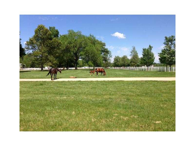 Lazy U - Residential