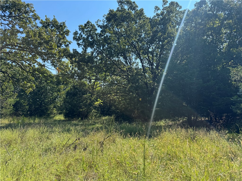 Discover the perfect blend of peace and convenience with this 2-acre property nestled in a beautiful, nature-filled setting. Surrounded by mature trees and natural scenery, this land offers a serene escape while still being just minutes from town. Whether you’re dreaming of building your forever home, a weekend retreat, or simply investing in land, this property provides the ideal backdrop. Enjoy privacy, space, and the freedom to create your vision—all while staying close to shopping, dining, and modern amenities.