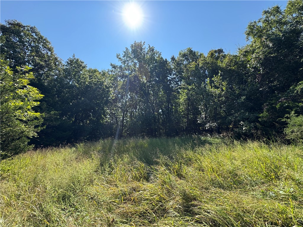 Elkins Outlots - Land