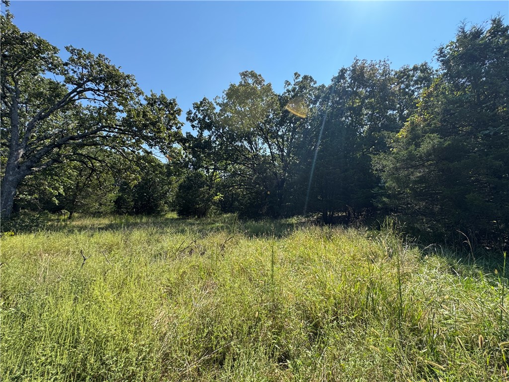 Elkins Outlots - Land