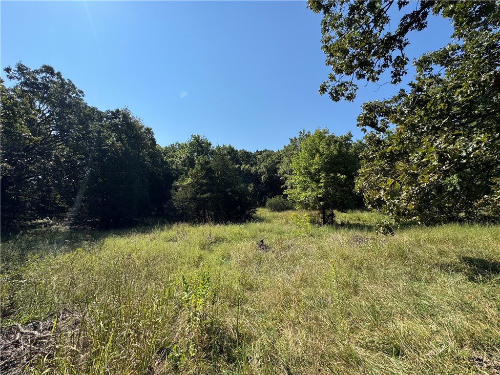 Elkins Outlots - Land