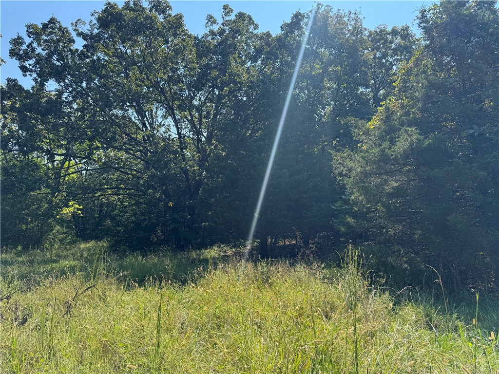 Elkins Outlots - Land