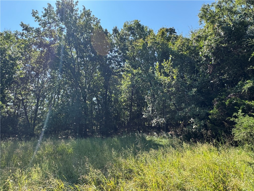 Elkins Outlots - Land