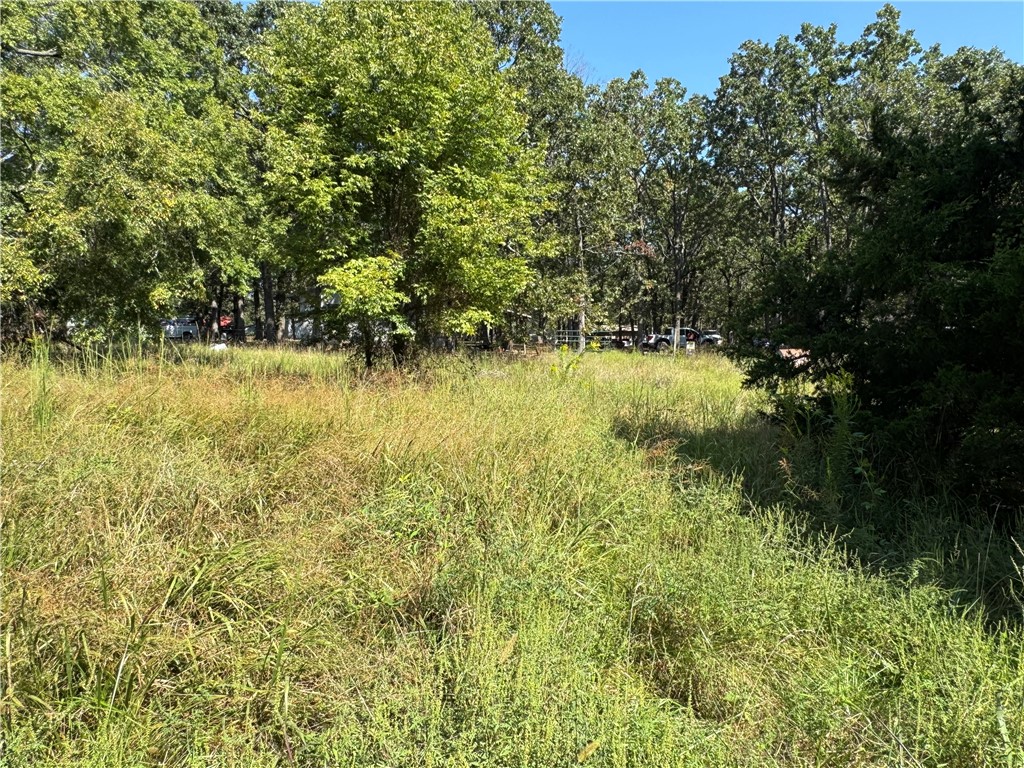 Elkins Outlots - Land