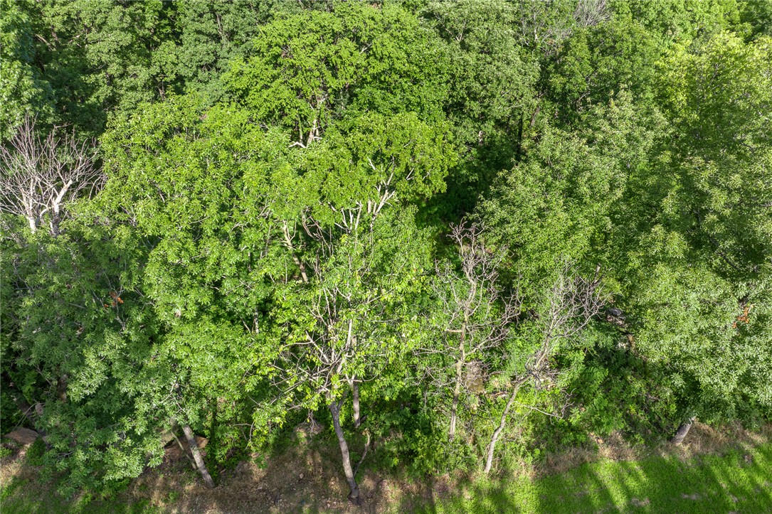 Round Mountain Estates - Land