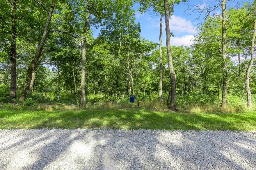 The groundwork is already done for you!  This lot comes fully equipped with underground utilities already in place, including natural gas, fiber optic internet, electric, public water, and sewer. No waiting, no guesswork, no costly setup—just a smooth, ready-to-build opportunity from day one. RME is the newest subdivision in Harrison, AR. If you’ve been dreaming of trading city lights for star-filled skies, RME delivers. Beyond your homesite, you’ll have access to a 350 acre common area reserved for residents, featuring a stocked fishing pond, Kissing Rock Trail, natural springs, Baby Canyon Trail, striking bluff lines and views that stretch for miles.  *Terrapin Creek Rd will be paved in the future, per county officials.