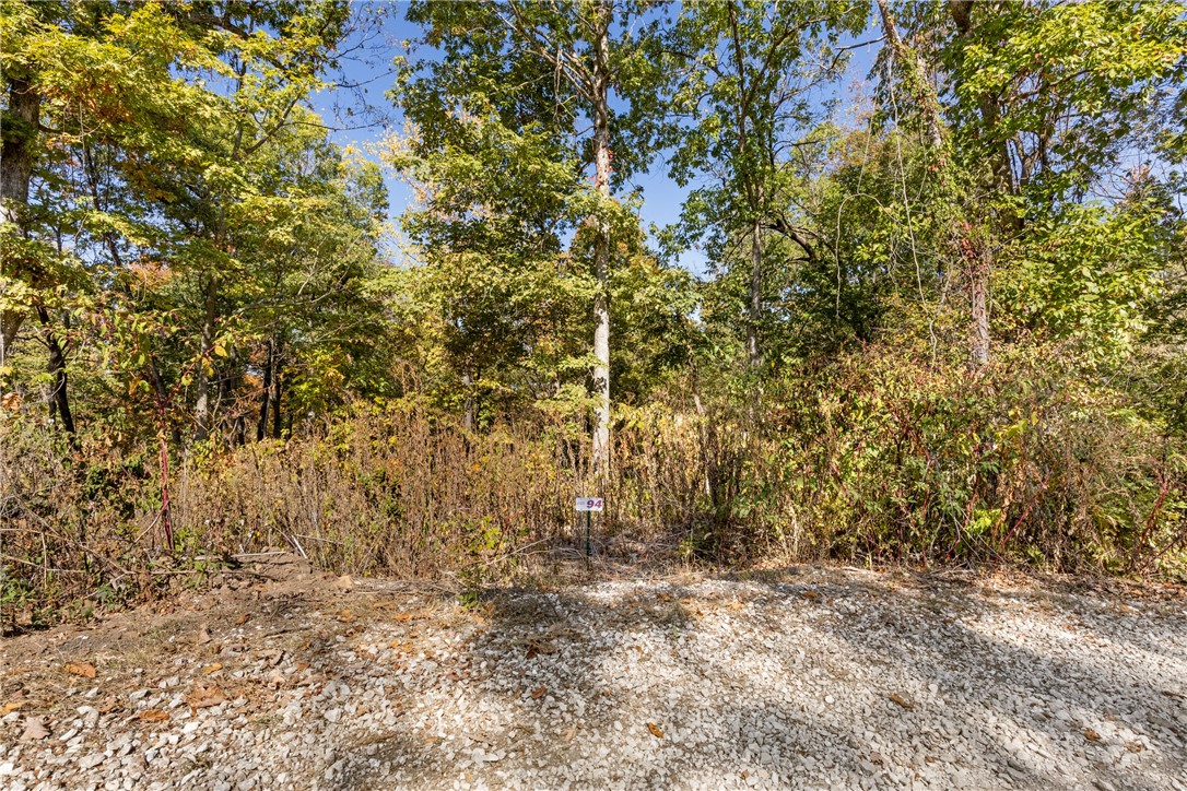 Lot 94 (2.2 m/l ac) of Round Mountain Estates is the largest lot of the development. It has spectacular northern views, access via cul-de-sac and is the most secluded lot RME has to offer. Need room to stretch your legs, come check out Lot 94. RME is a new, master planned, exclusive subdivision located 10 minutes west of Harrison, AR. The following utilities are already on site making the building process much easier for you; natural gas, fiber optic internet, electric, public water, and sewer. Interested in your family seeing the star lights instead of those city lights? RME is what you've been searching for! RME features a 350 +/- acre common area for its residents that includes a stocked fishing pond, Kissing Rock trail, natural springs to explore, Baby Canyon trail, incredible bluff lines to climb, and views for hundreds of miles that will not only take your breath away but will forever be etched in your memory! Neighborhood amenities coming soon.